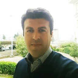 Hamed Najafi-Ashtiani