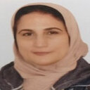Safaa S. Saleh