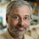 David J. Waxman