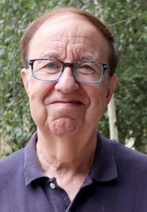 José Luis Domingo Roig