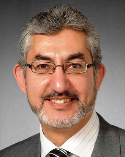 Tarek Hegazi (Hegazy)