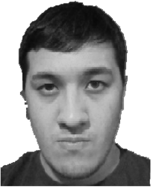 M. A. Tsoy