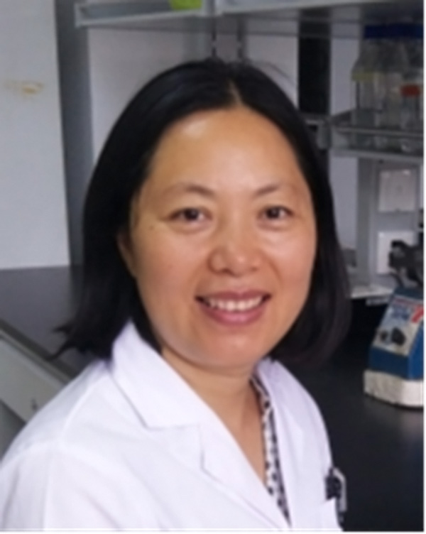 Shunhua Ding