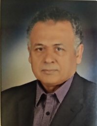 Hamed S. Askar