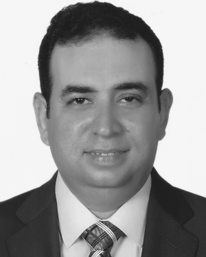 Ahmed E. Mansour