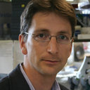 David Szuts