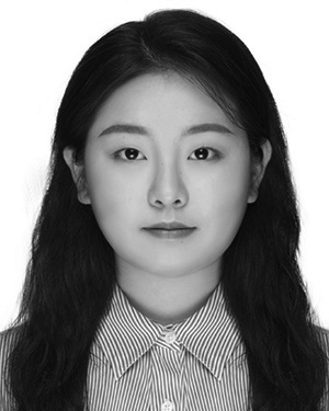 Liu Lei