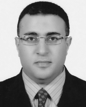 Ahmed M. R. Fath El-Bab