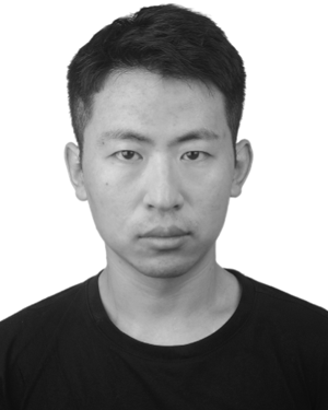 Yangyang Li