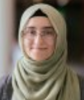 Ayse Zisan Sahan
