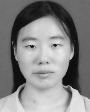 Zhen Zhao