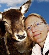 Bergvall Ulrika A