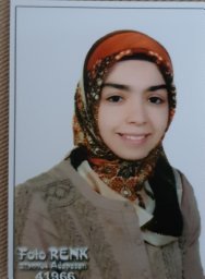 Hayrunnisa Bekis Bozkurt