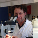 Duco Kramer