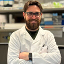 Fabiano Cimmino