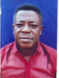 Emmanuel E. Ekuri
