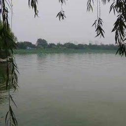 Hanlin Zhang