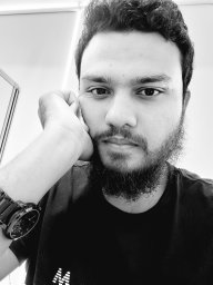 Md Aminul Haque Palash