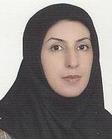 M. Moghaddasi