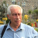 Vladimir Zeigarnik