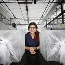 Yelitza Velasquez