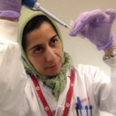 Maryam Kamkar