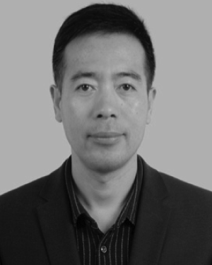 Qinglin Song