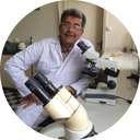 Mehdi Hojjati