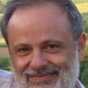 Anthony P Hollander