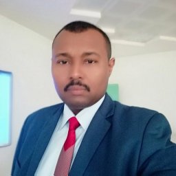 Mustafa Z. Mahmoud