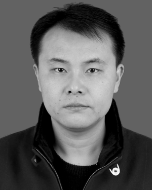 Xin Li