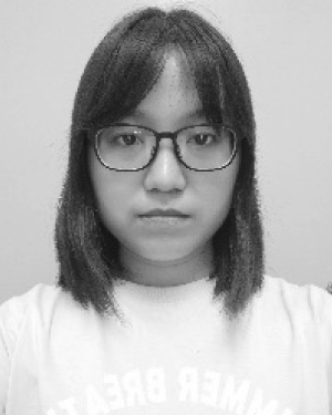 Wenchao Hu