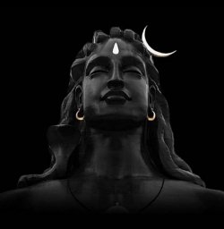 Himanshu Pandey