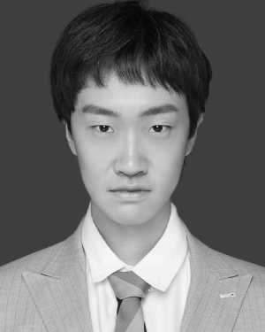Ruidong Chen