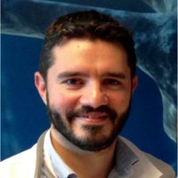 Manuel Rodríguez Yáñez