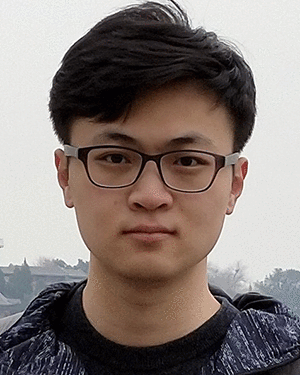 Lei Wang