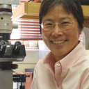 Joan M Chow