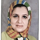 Dina M Nassar