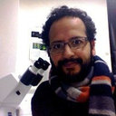 Luis A J Alvarez