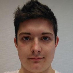 Dominik Engel