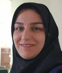 N. Heidari