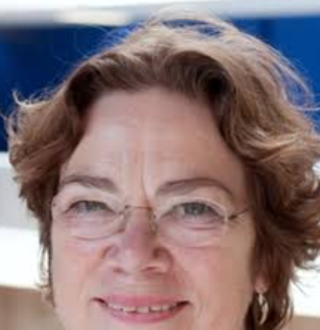 Hanneke C. J. M. de Haes