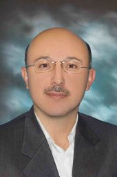 Mohammad Anisseh