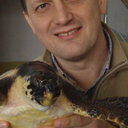 Zeljko Mihaljevic