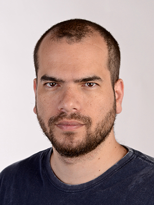 Artur Avila