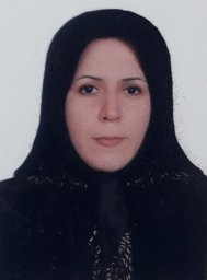 Daemi, T.