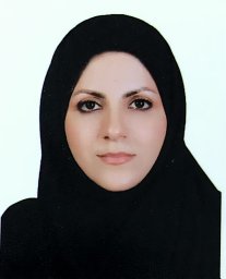 S. Razavyan