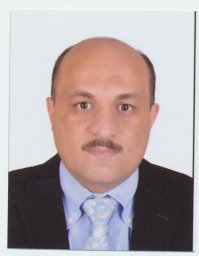 Mahdy M. Elmahdy