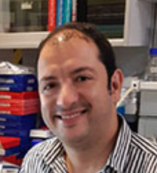 Alejandro Martín-Montalvo Sánchez
