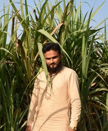 Shehzad Mehmood